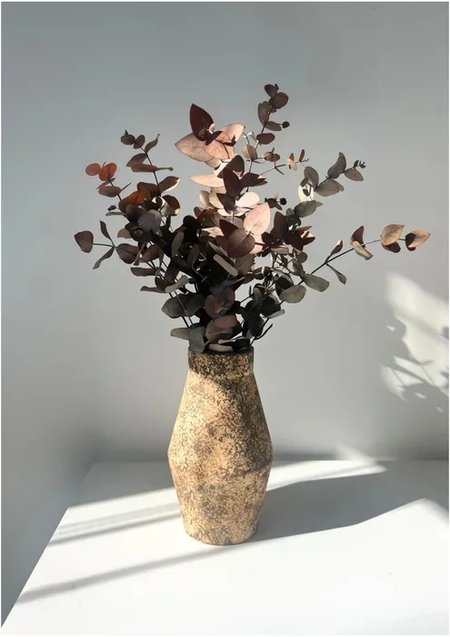 ואזת טרה 15X25