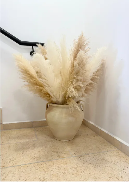 סידור פמפס בכד חרס גובה כד 34 ס"מ